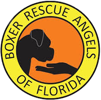 Boxer Rescue Angels of Florida